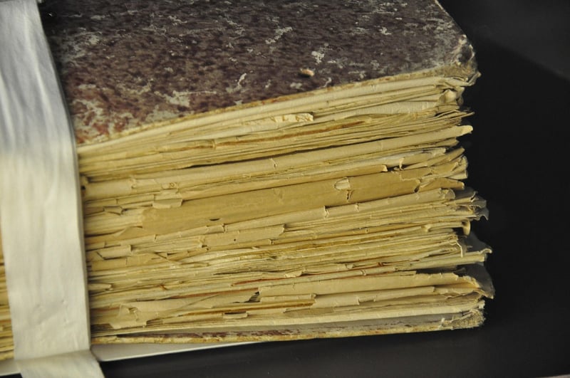 Voynich Manuscript Mystery